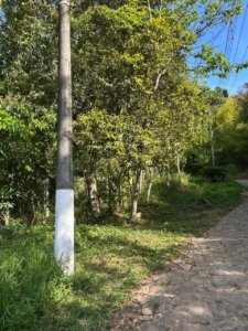 TERRENO NO CAXAMBU