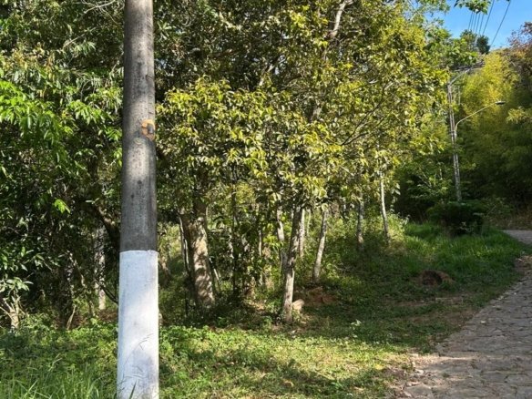 TERRENO NO CAXAMBU